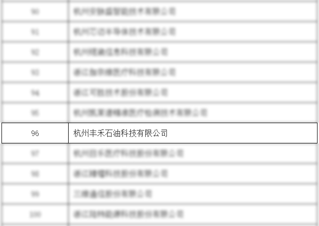 凯发丰禾公司荣获国家级专精特新“小巨人”企业(图2)